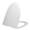 مقعد المرحاض على شكل V PP على شكل بي بي 0215 تيرابايت