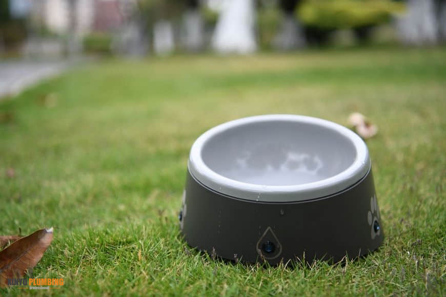 وعاء الحيوانات الأليفة 6