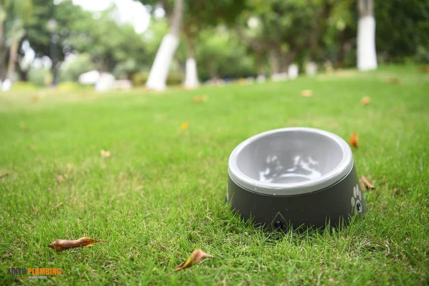 وعاء الحيوانات الأليفة 2