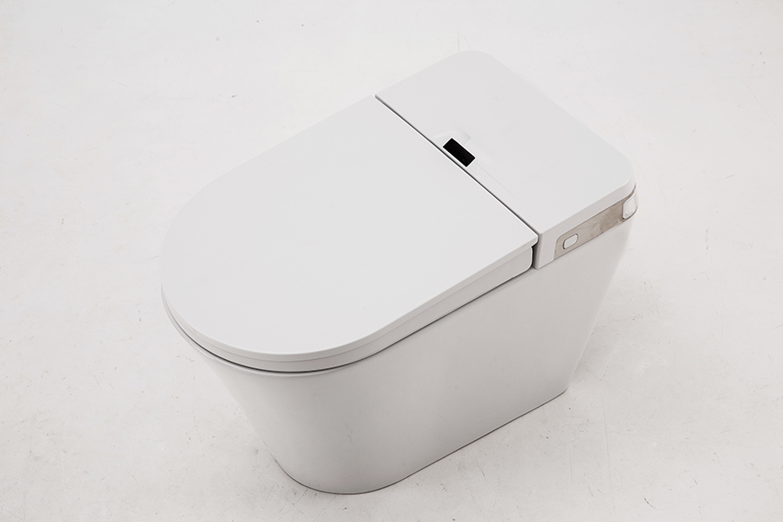 المرحاض الذكي 19