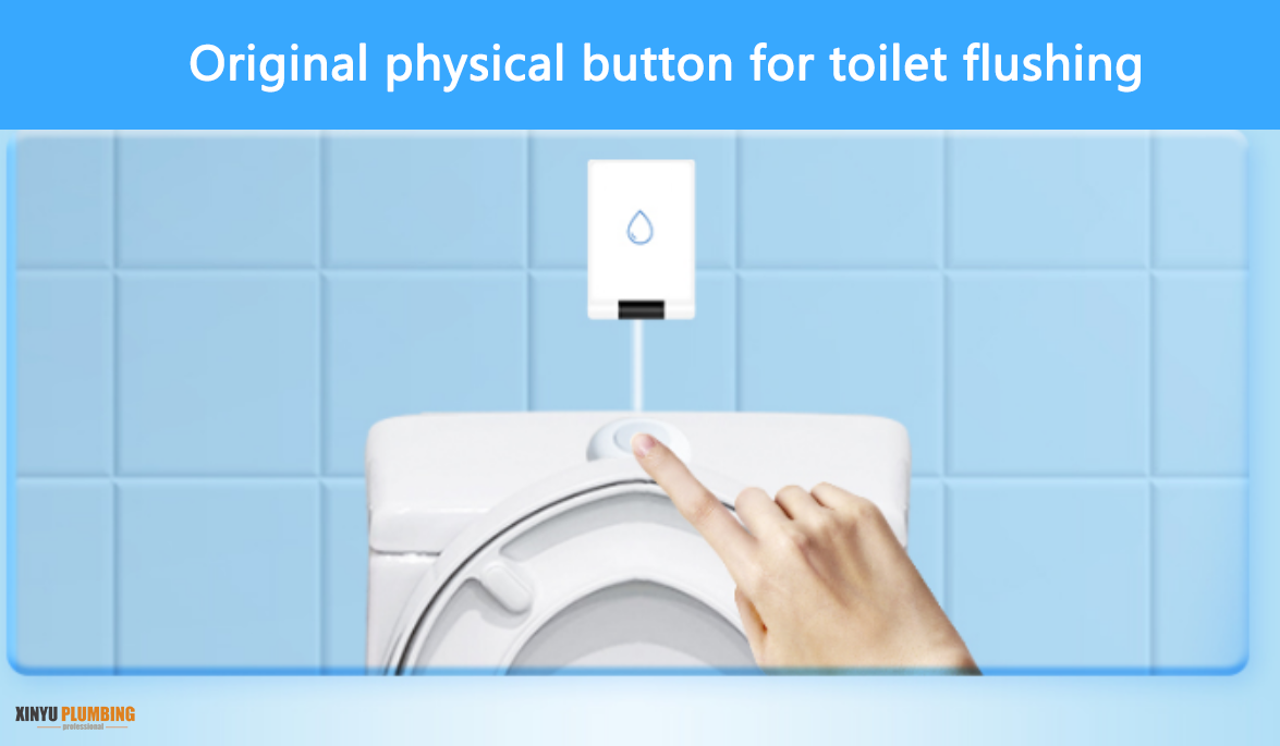 الزر المادي لتدفق المرحاض